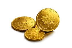 Gold Coins